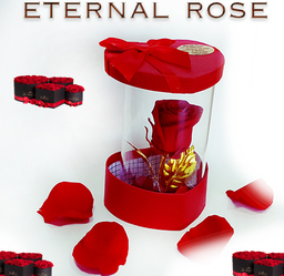 Вечна червена роза в стъкленица HEART