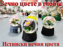 live flowers in a paperweight