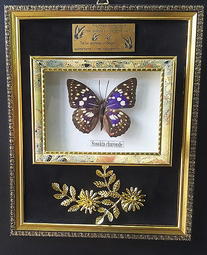 Картина с истинска пеперуда и позлатени цветя