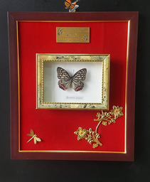 Релефна 3д картина с истинска пеперуда, водно конче и цветя с позлата.