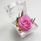 вечна роза розов цвят в стъклена кутия